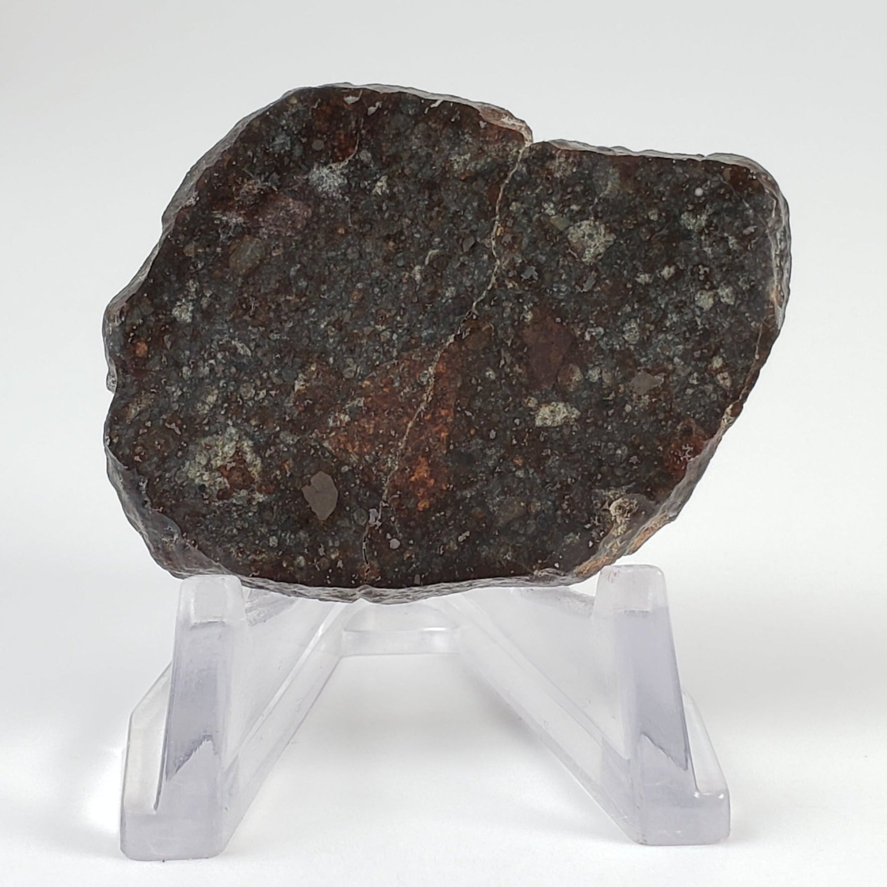  Sahara 02500 Meteorite | 17.54 Gr | Slice | L3 Chondrite | Wadi Mellene, Algeria | Sahara Desert | SO24 7