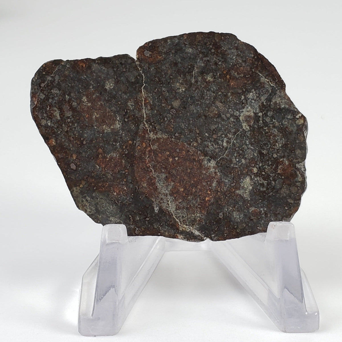  Sahara 02500 Meteorite | 17.54 Gr | Slice | L3 Chondrite | Wadi Mellene, Algeria | Sahara Desert | SO24 8
