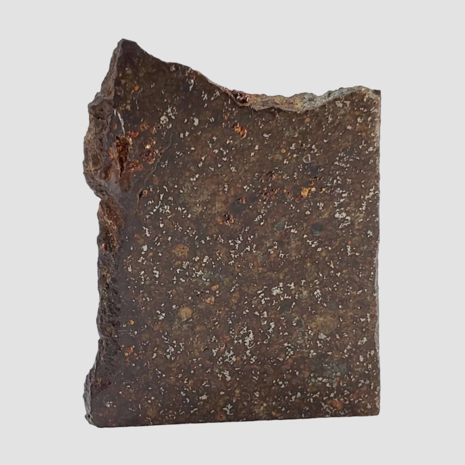  Sahara 97095 Meteorite | 9.27 Grams | slice | H5 Chondrite | Sahara 1