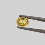  Sapphire | Oval Cut | Canary Yellow | 6.1x5.1mm 1.03ct 1