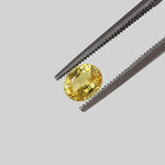  Sapphire | Oval Cut | Canary Yellow | 6.1x5.1mm 1.03ct 