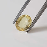  Sapphire | Oval Cut | Yellow | 8x6.3mm 1.6ct 