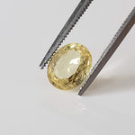  Sapphire | Oval Cut | Yellow | 8x6.3mm 1.6ct 1