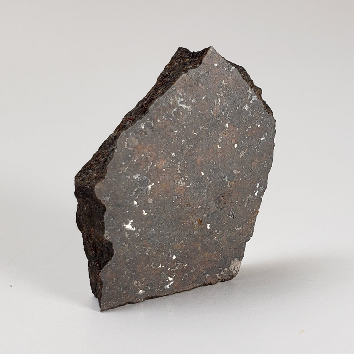  Sayh al Uhaymir SaU 001 Meteorite | 4.41 Gr | Slice | L5 Chondrite | Rare | Oman | SO24 2