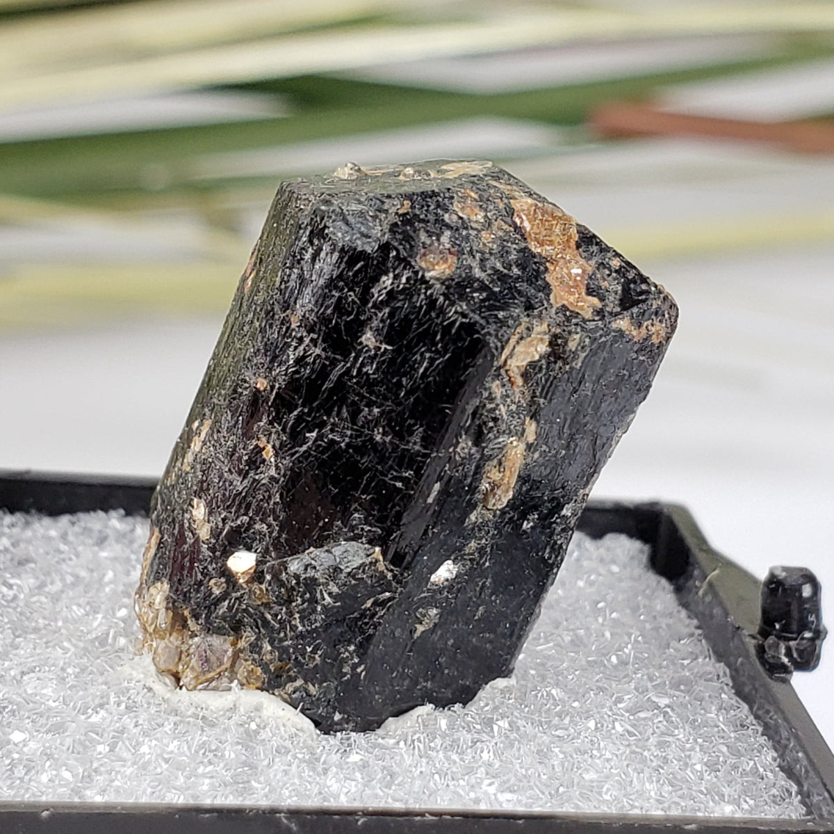  Schorl Tourmaline Crystal | Perky Box Thumbnail Specimen | N. Groton, New Hampshire 1
