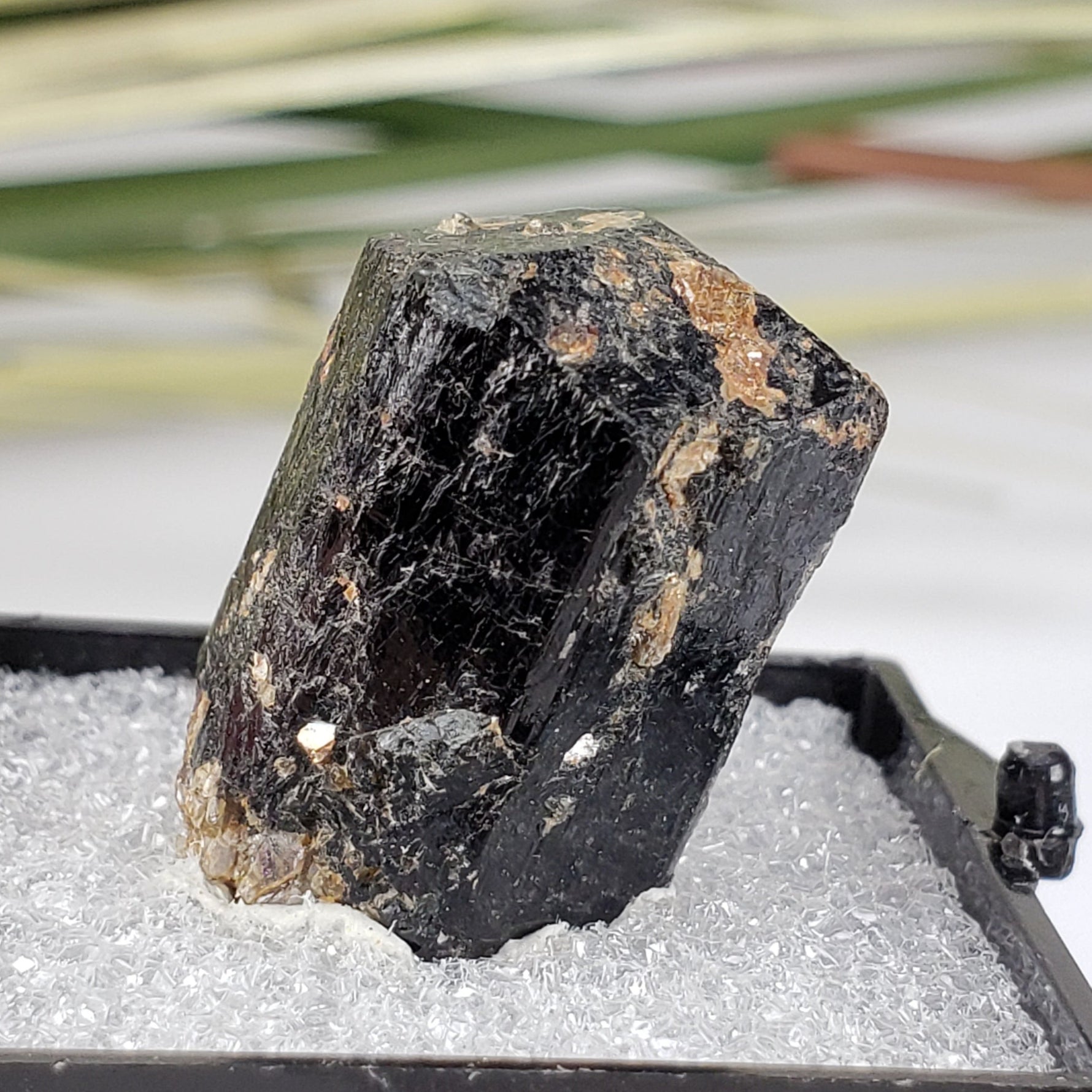  Schorl Tourmaline Crystal | Perky Box Thumbnail Specimen | N. Groton, New Hampshire 1