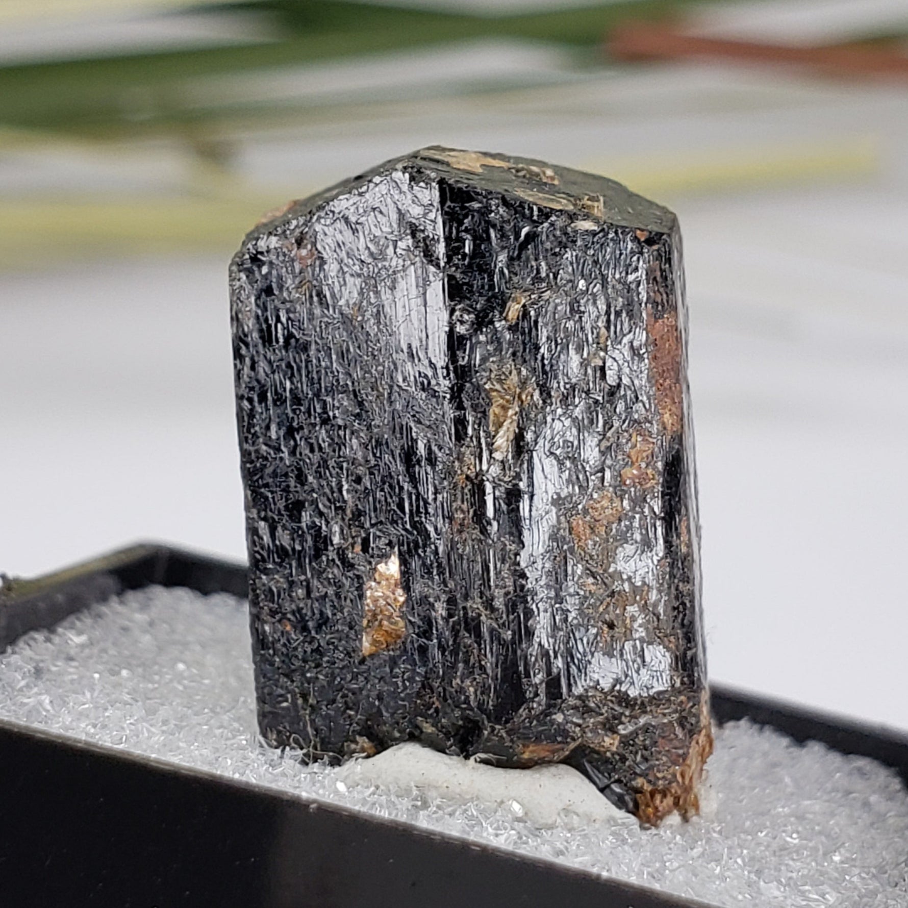 Schorl Tourmaline Crystal | Perky Box Thumbnail Specimen | N. Groton, New Hampshire 2