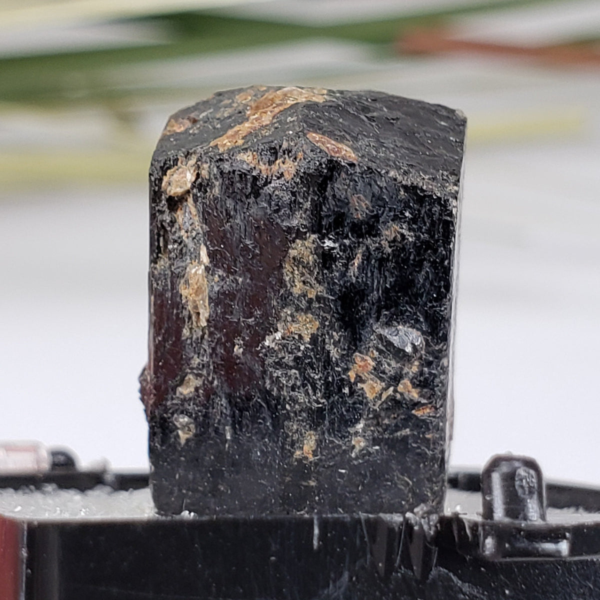  Schorl Tourmaline Crystal | Perky Box Thumbnail Specimen | N. Groton, New Hampshire 4