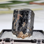  Schorl Tourmaline Crystal | Perky Box Thumbnail Specimen | N. Groton, New Hampshire 5