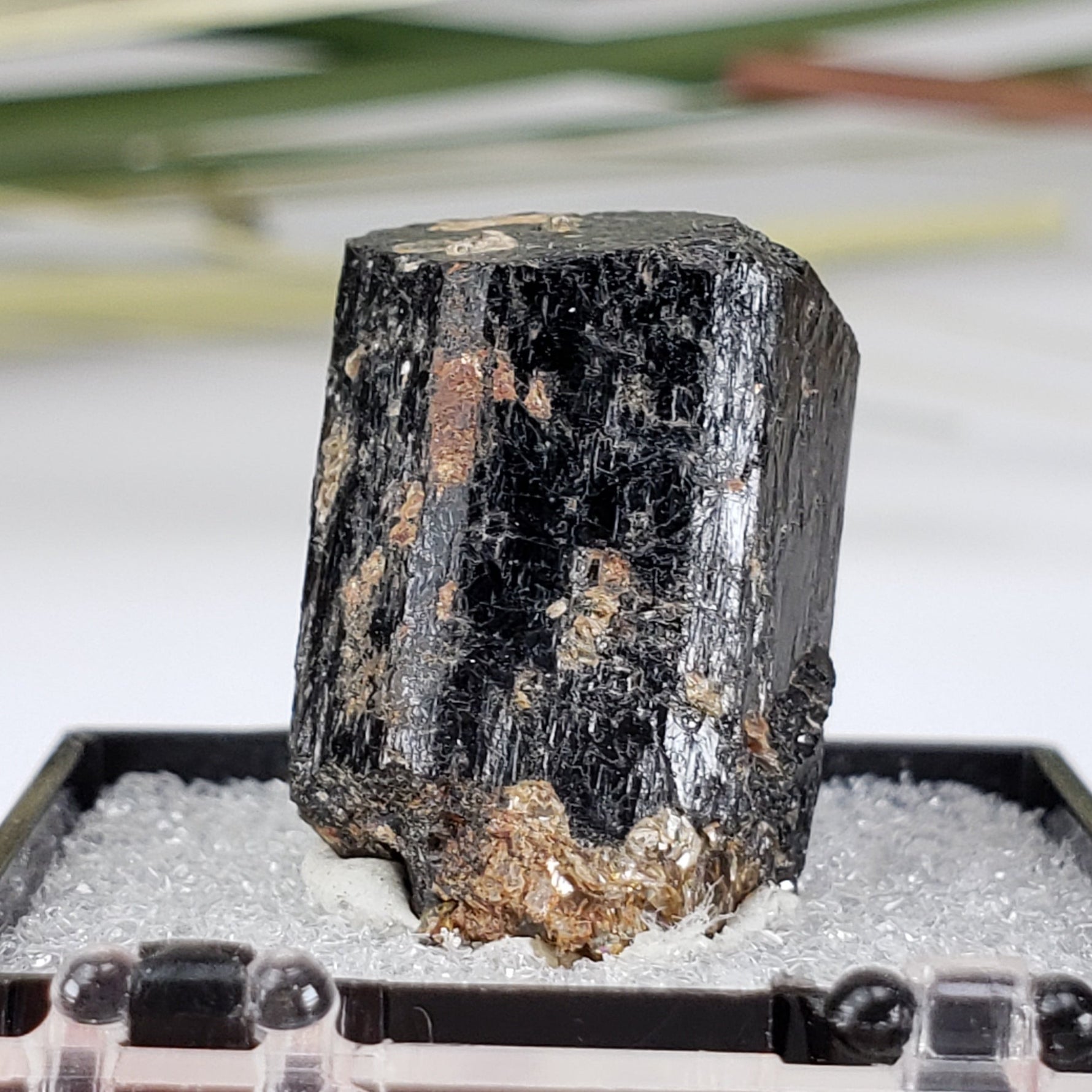  Schorl Tourmaline Crystal | Perky Box Thumbnail Specimen | N. Groton, New Hampshire 5