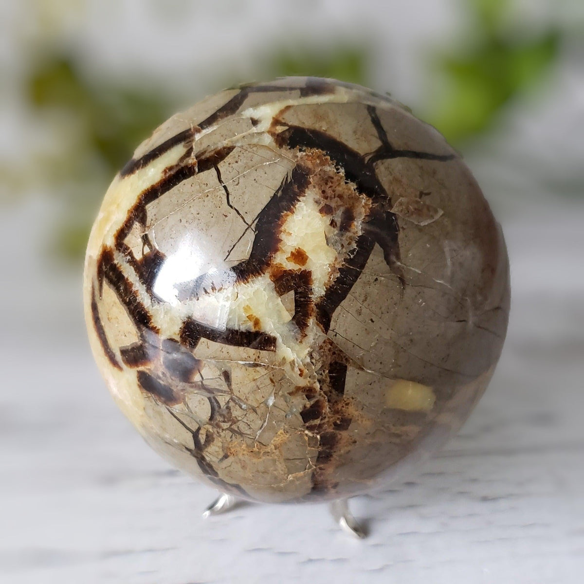  Septarian Calcite Sphere | 92 mm, 3.6 in | 1.09 kg 6