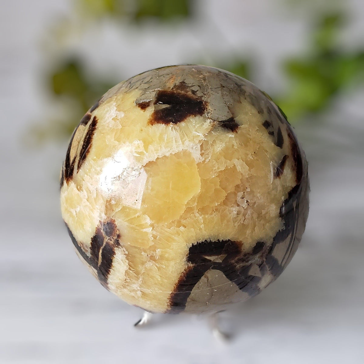  Septarian Calcite Sphere | 92 mm, 3.6 in | 1.09 kg 7