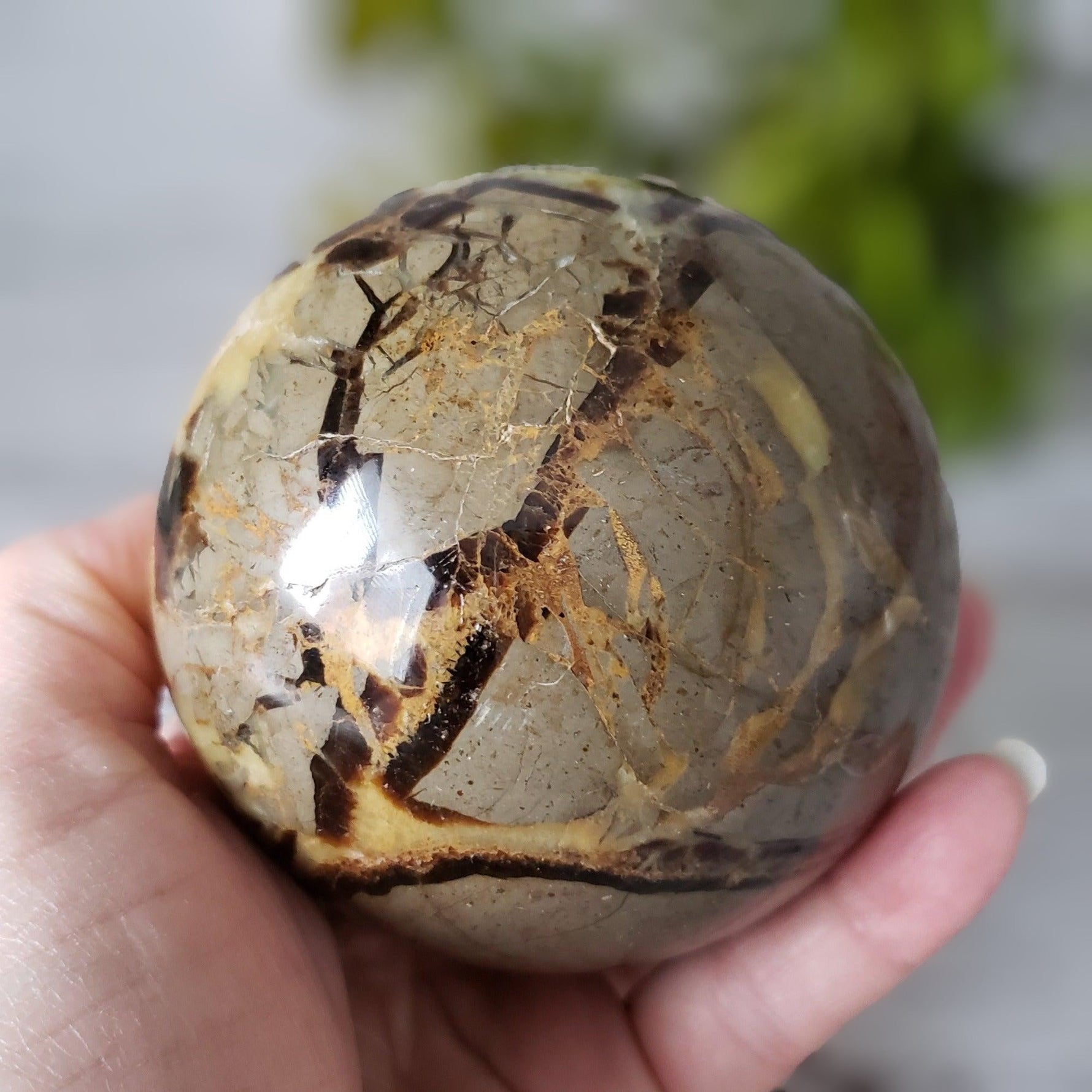  Septarian Calcite Sphere | 92 mm, 3.6 in | 1.09 kg 2