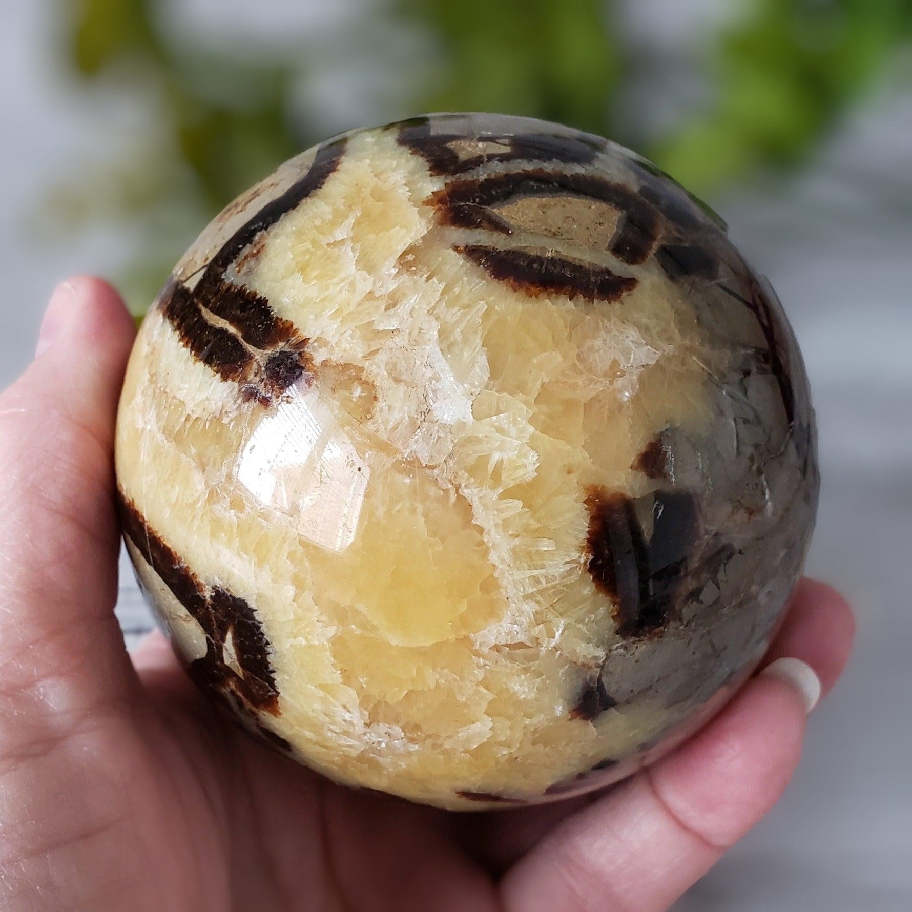  Septarian Calcite Sphere | 92 mm, 3.6 in | 1.09 kg 