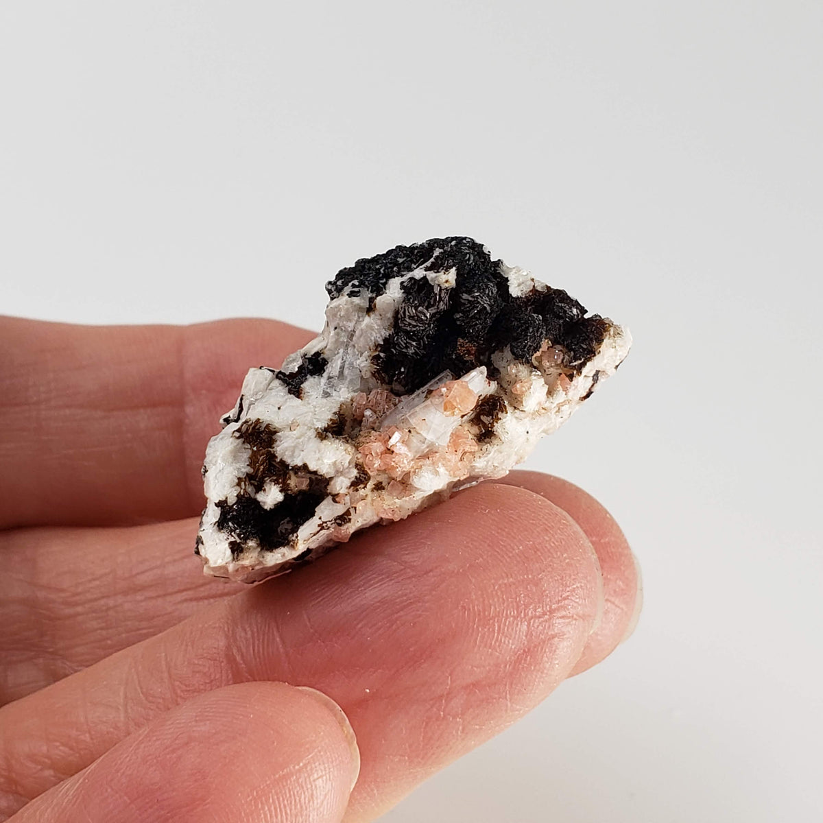  Serandite and Aegirine Crystal Cluster  | 10.9 gr Specimen | Poudrette Quarry, Mont Saint-Hilaire, Canada 6