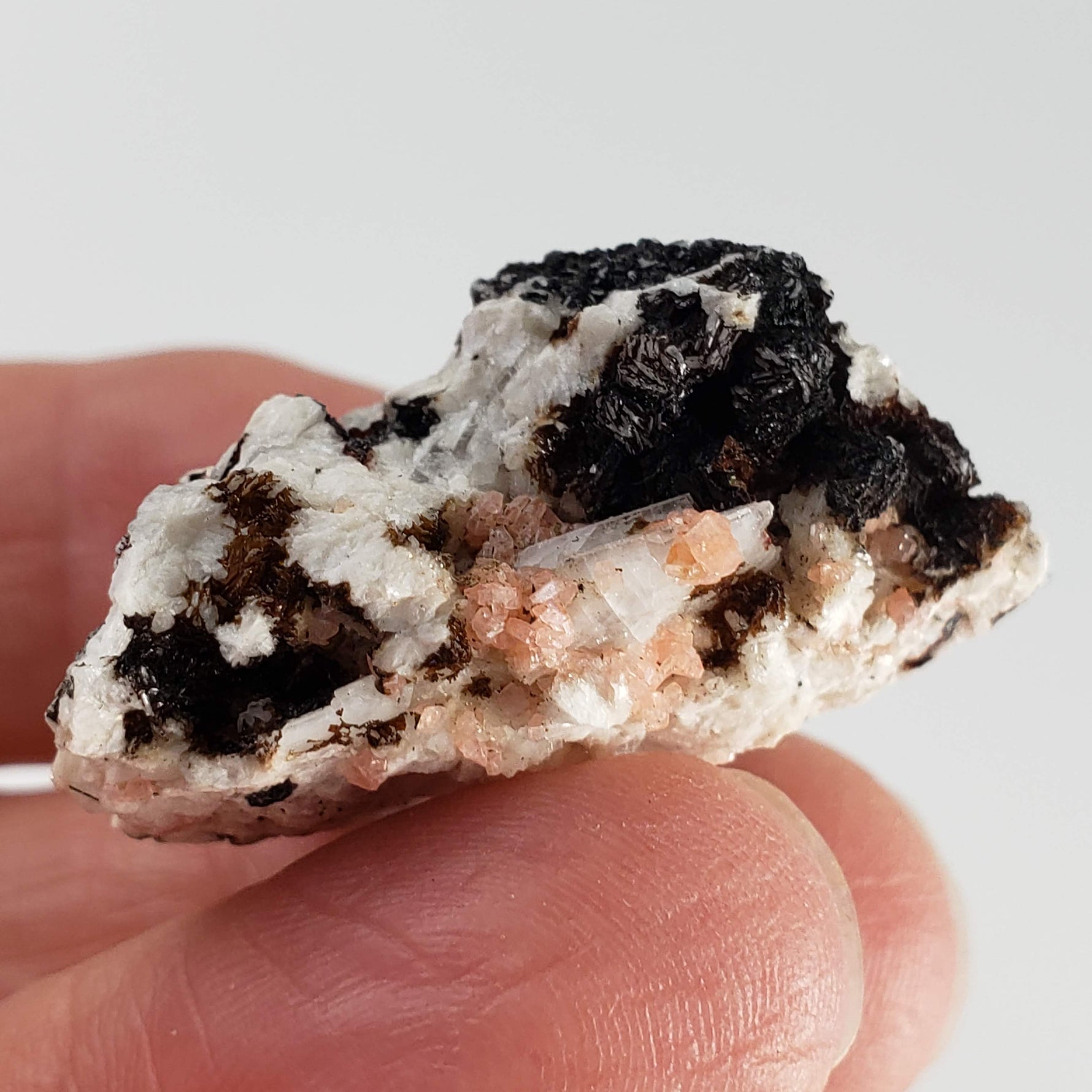  Serandite and Aegirine Crystal Cluster  | 10.9 gr Specimen | Poudrette Quarry, Mont Saint-Hilaire, Canada 5