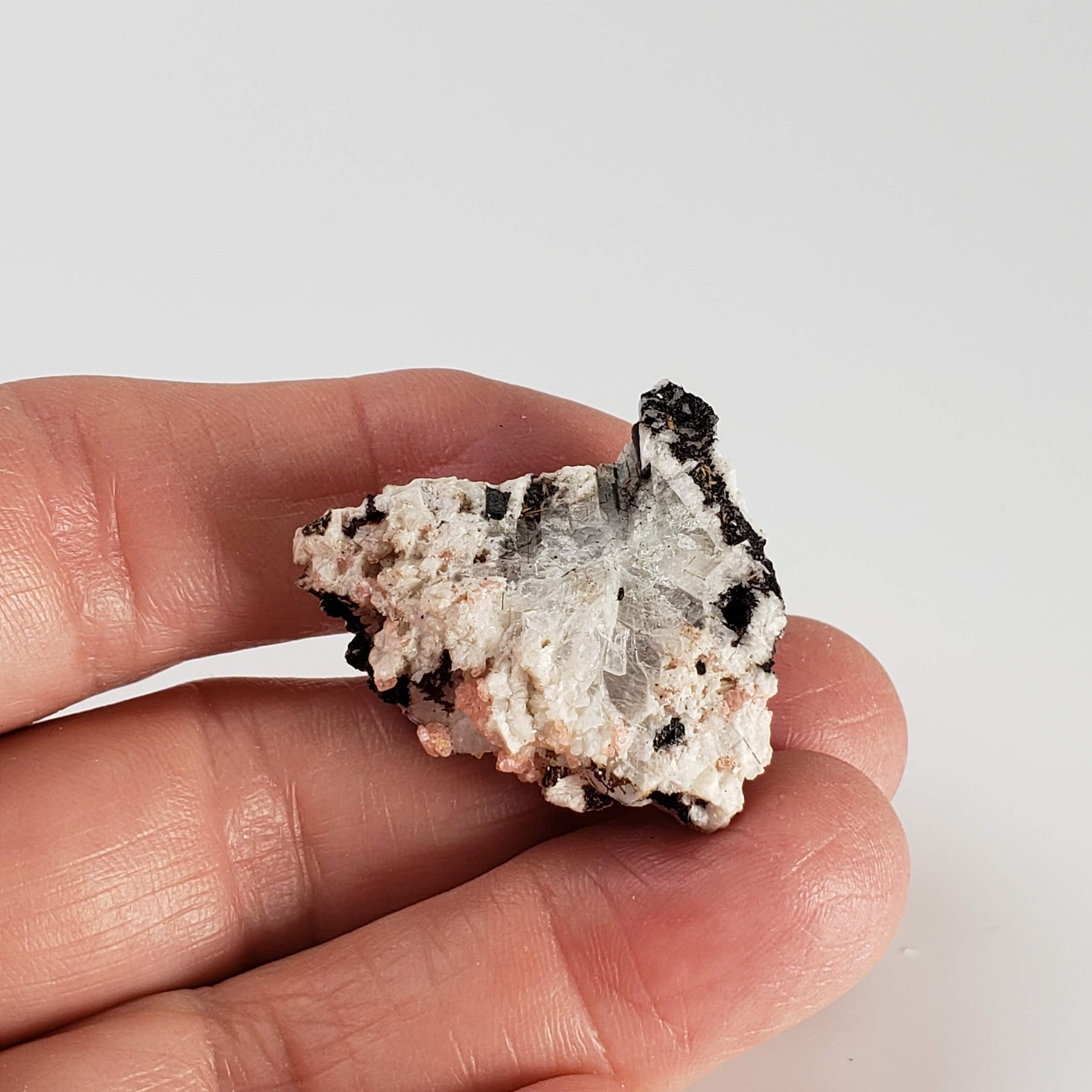  Serandite and Aegirine Crystal Cluster  | 10.9 gr Specimen | Poudrette Quarry, Mont Saint-Hilaire, Canada 8
