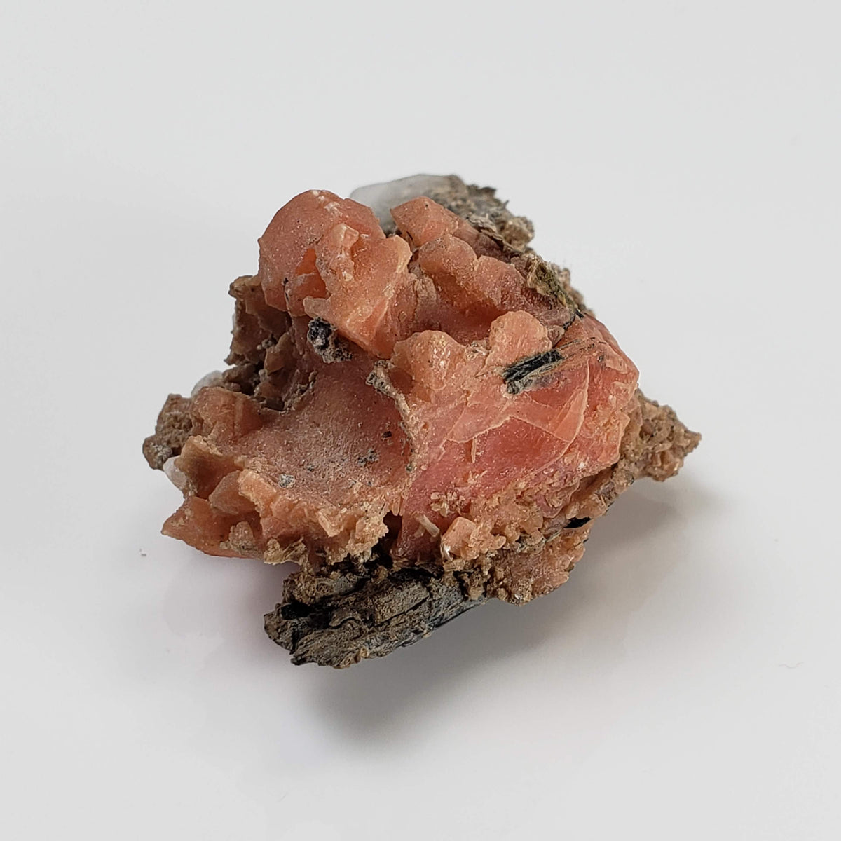  Serandite and Analcime Crystal Cluster  | 33.71 gr Specimen | Poudrette Quarry, Mont Saint-Hilaire, Canada 3