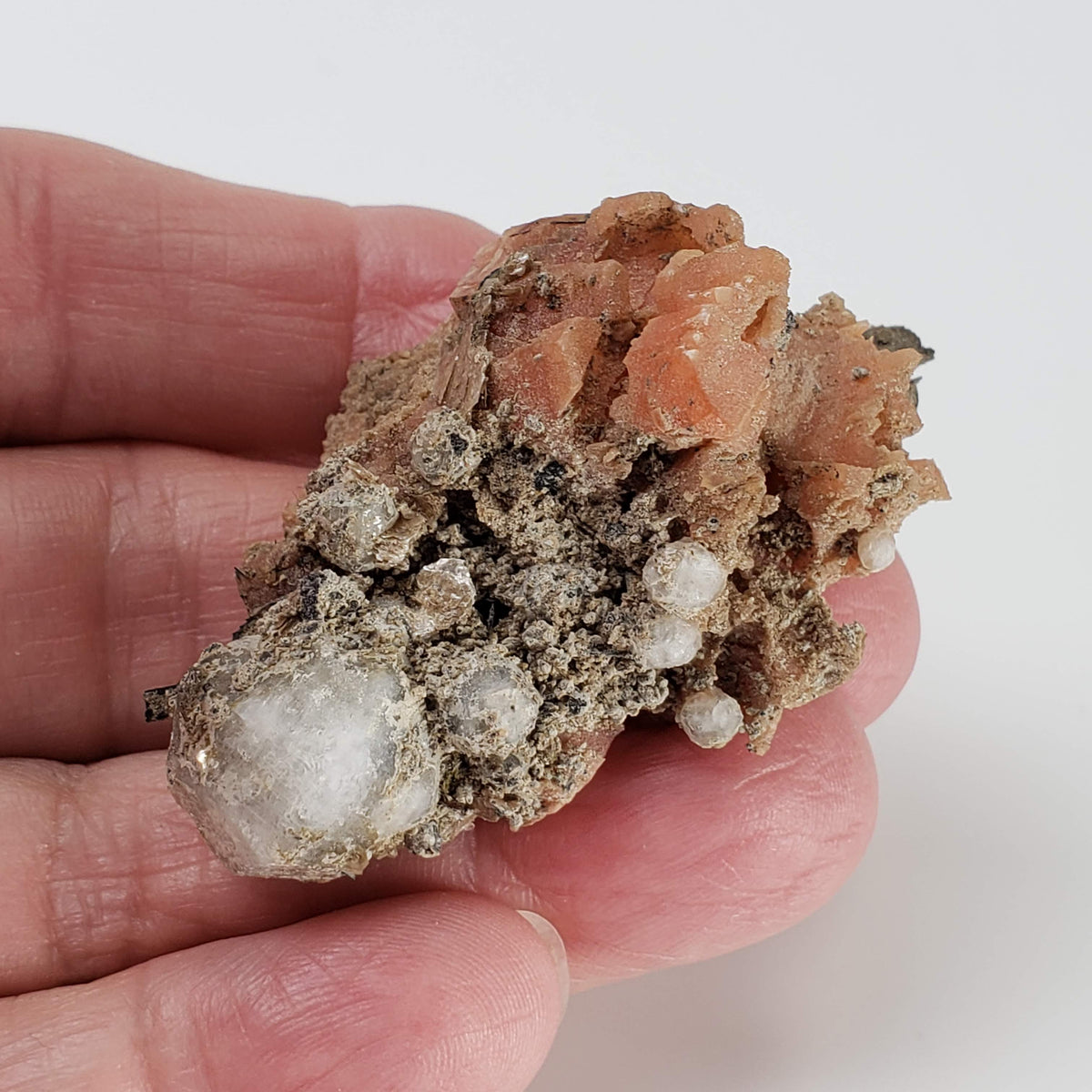  Serandite and Analcime Crystal Cluster  | 33.71 gr Specimen | Poudrette Quarry, Mont Saint-Hilaire, Canada 5