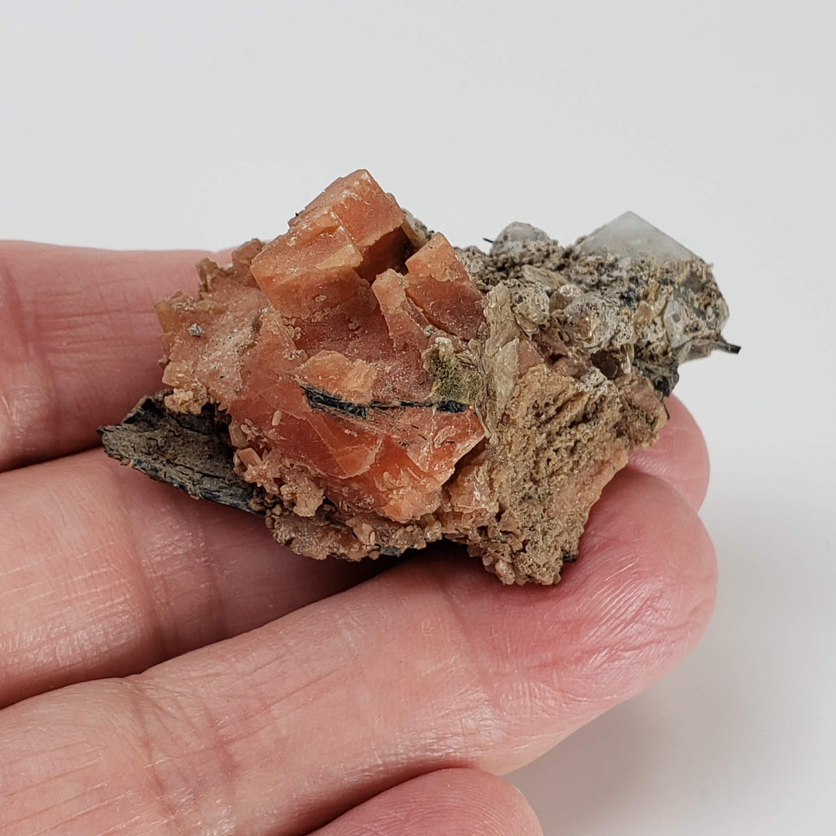  Serandite and Analcime Crystal Cluster  | 33.71 gr Specimen | Poudrette Quarry, Mont Saint-Hilaire, Canada 6