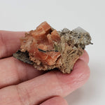  Serandite and Analcime Crystal Cluster  | 33.71 gr Specimen | Poudrette Quarry, Mont Saint-Hilaire, Canada 6