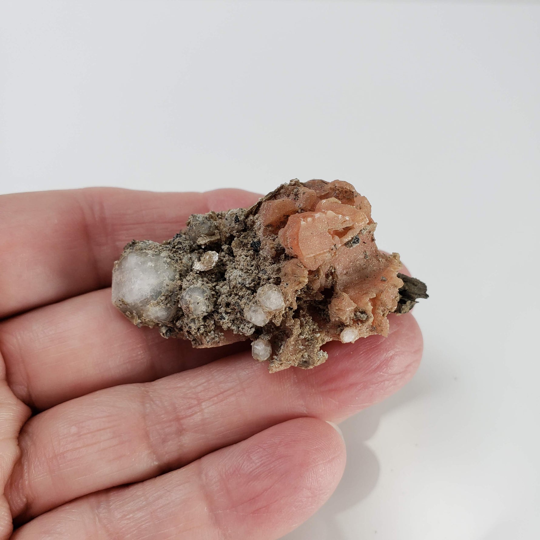  Serandite and Analcime Crystal Cluster  | 33.71 gr Specimen | Poudrette Quarry, Mont Saint-Hilaire, Canada 7