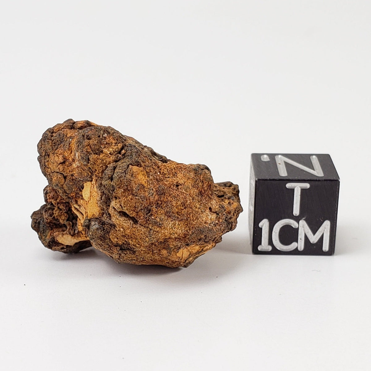  Sericho Meteorite | 11.3 Grams | As found Individual | MG Pallasite | Kenya Africa 