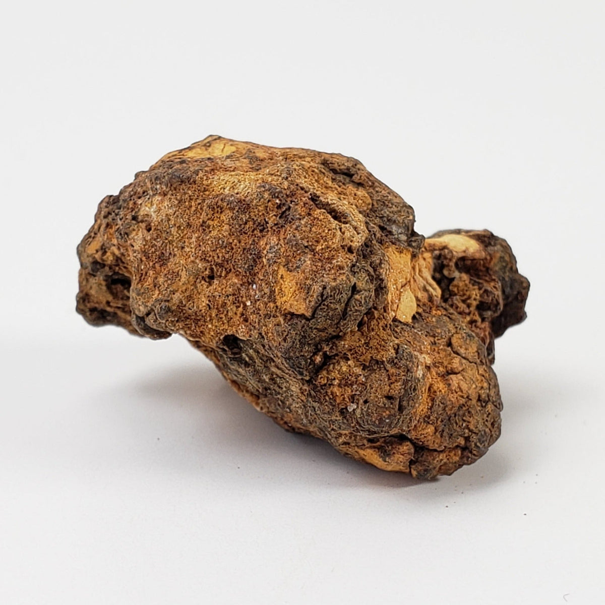  Sericho Meteorite | 11.3 Grams | As found Individual | MG Pallasite | Kenya Africa 3