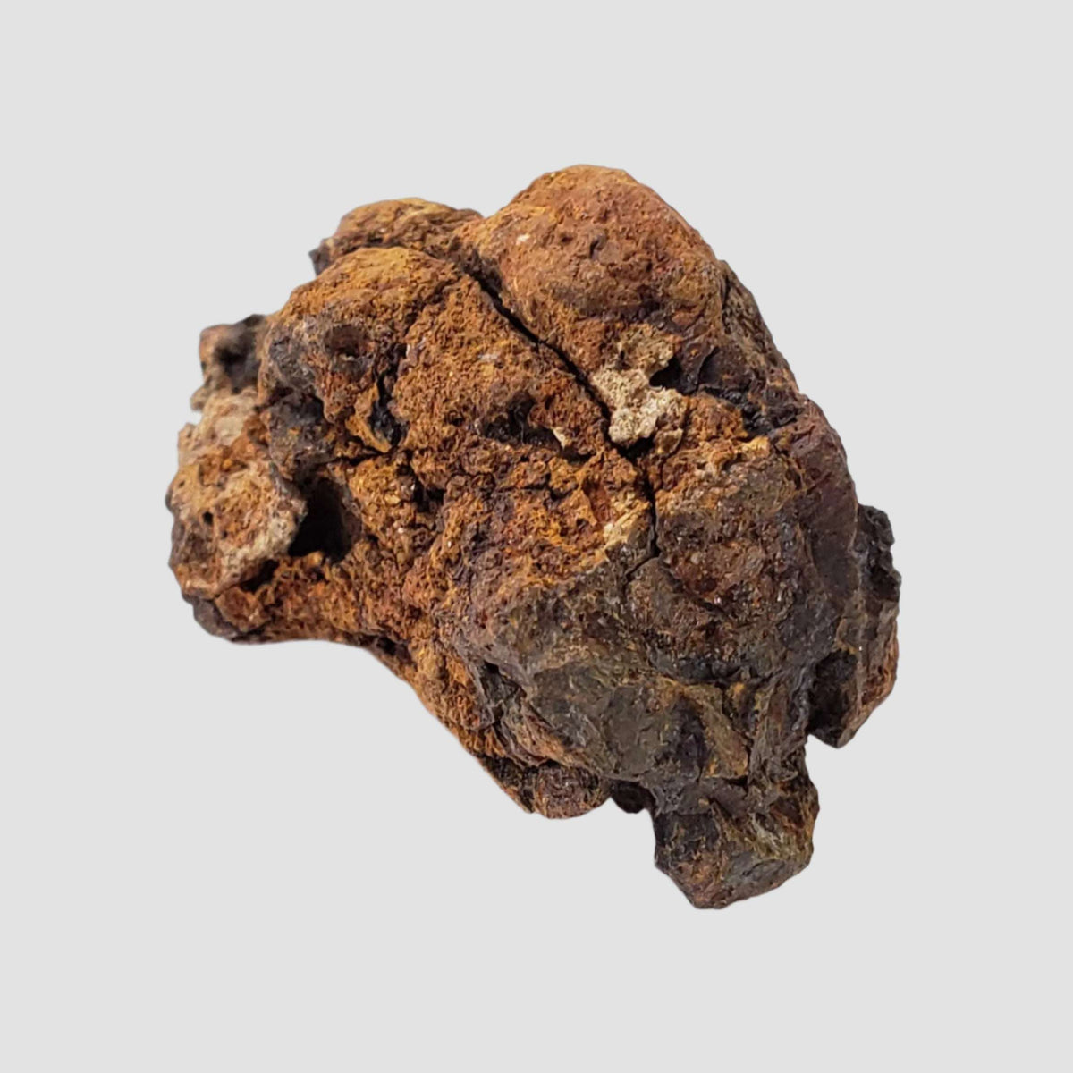  Sericho Meteorite | 11.4 Grams | As found Individual | MG Pallasite | Kenya Africa 2