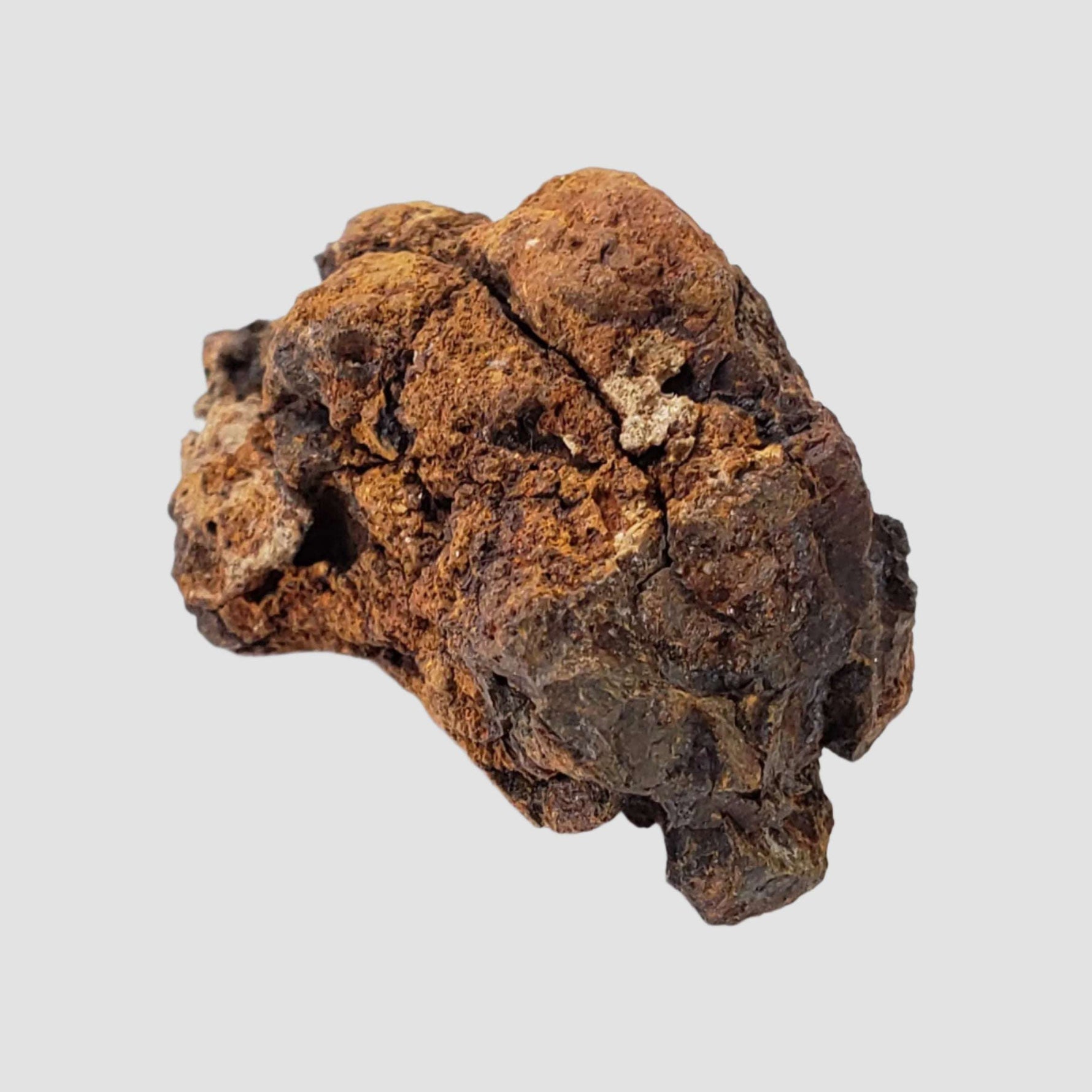  Sericho Meteorite | 11.4 Grams | As found Individual | MG Pallasite | Kenya Africa 2