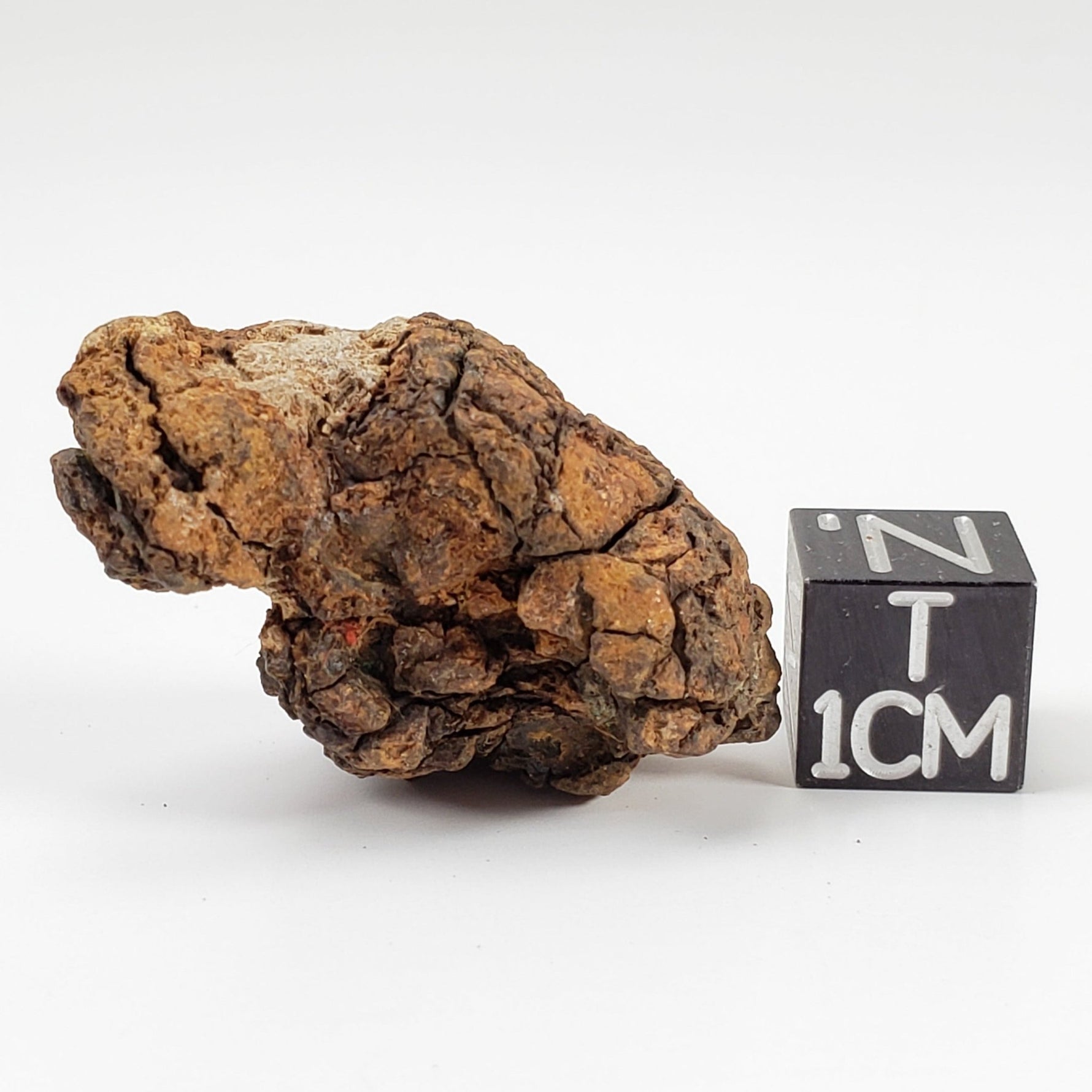  Sericho Meteorite | 13.8 Grams | As found Individual | MG Pallasite | Kenya Africa | SO24 