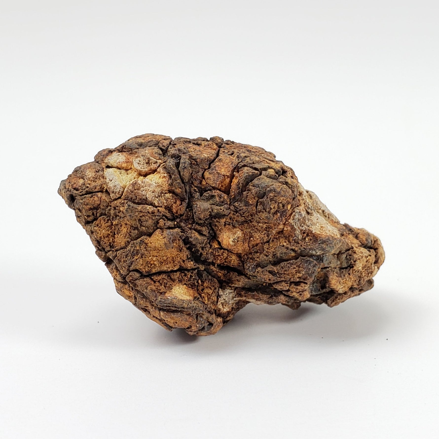  Sericho Meteorite | 13.8 Grams | As found Individual | MG Pallasite | Kenya Africa | SO24 1