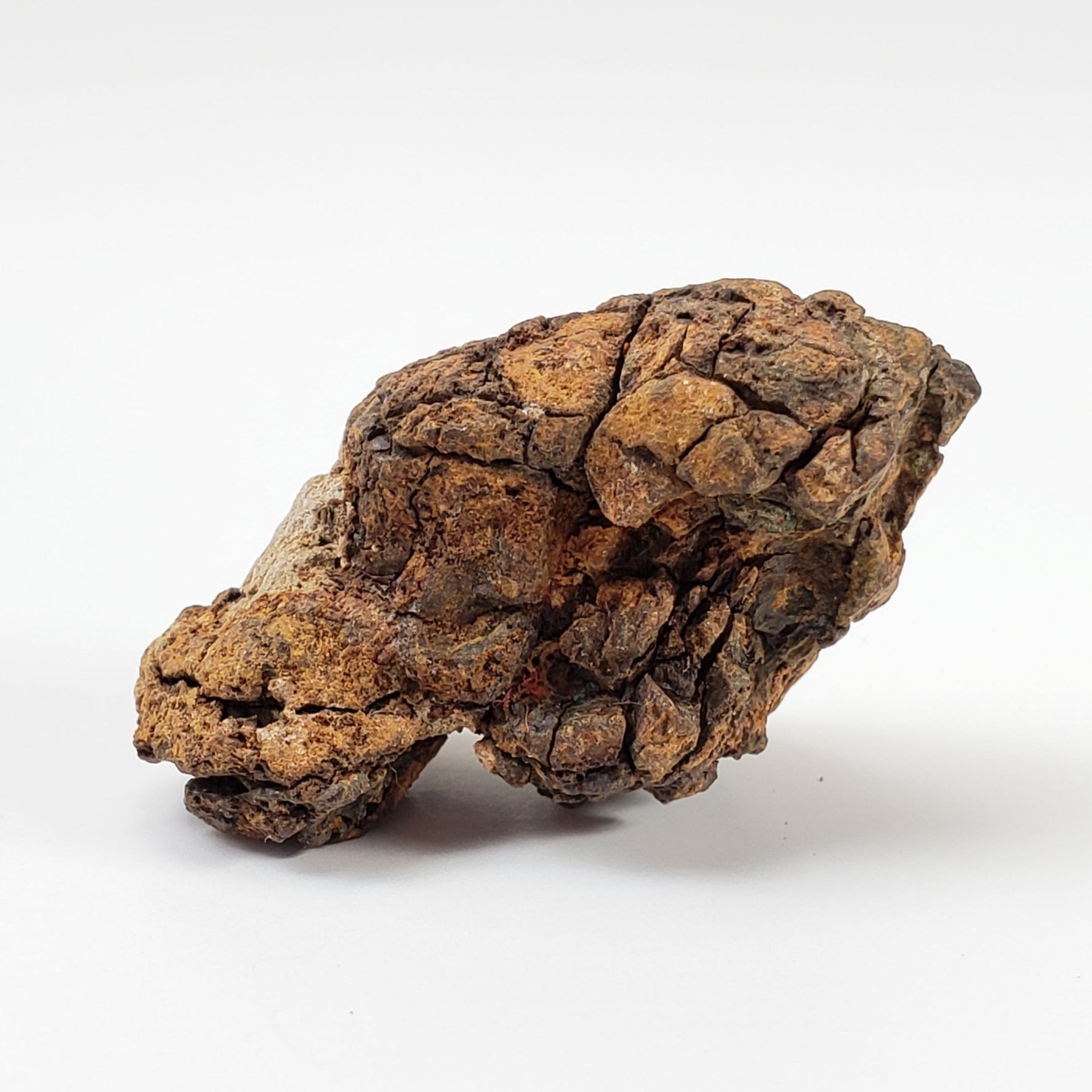  Sericho Meteorite | 13.8 Grams | As found Individual | MG Pallasite | Kenya Africa | SO24 2