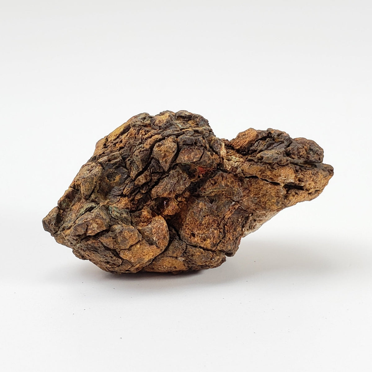  Sericho Meteorite | 13.8 Grams | As found Individual | MG Pallasite | Kenya Africa | SO24 4