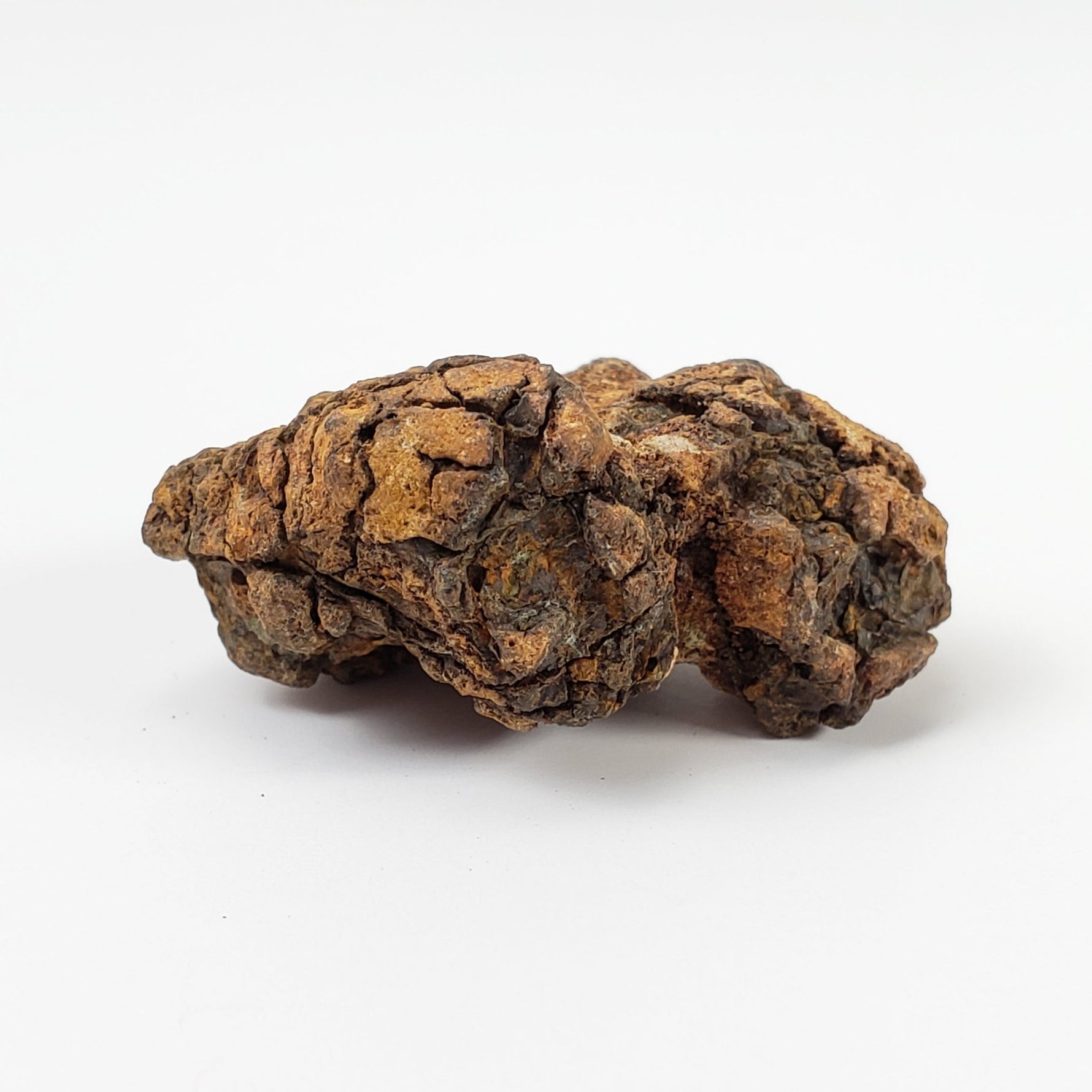  Sericho Meteorite | 13.8 Grams | As found Individual | MG Pallasite | Kenya Africa | SO24 5
