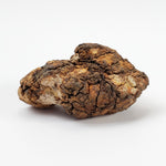  Sericho Meteorite | 13.8 Grams | As found Individual | MG Pallasite | Kenya Africa | SO24 6