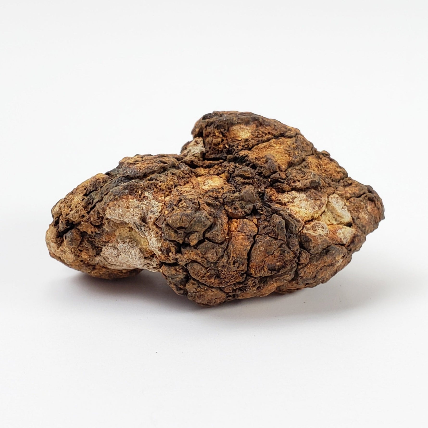  Sericho Meteorite | 13.8 Grams | As found Individual | MG Pallasite | Kenya Africa | SO24 6