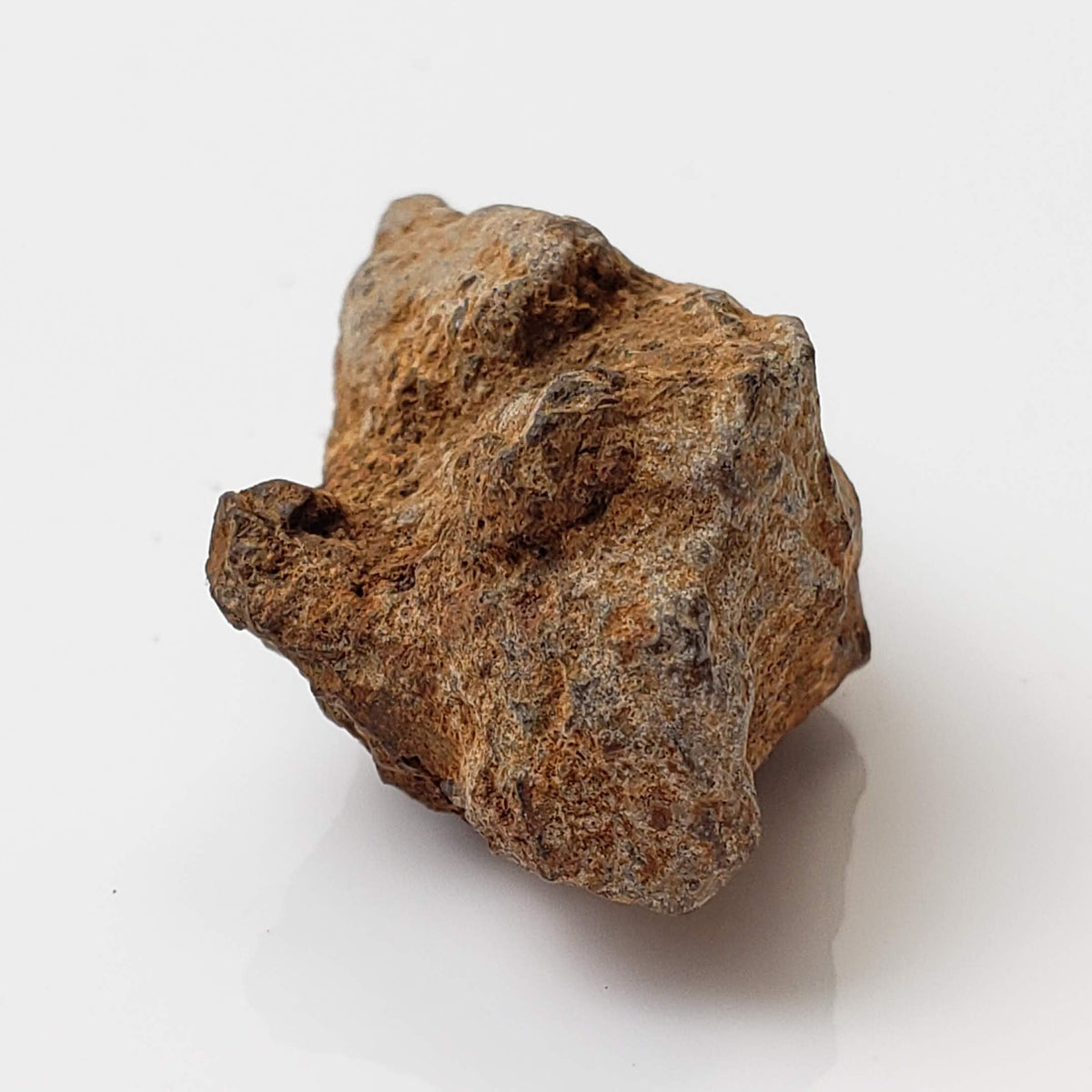  Sericho Meteorite | 16.4 Grams | As found Individual | MG Pallasite | Kenya Africa 7