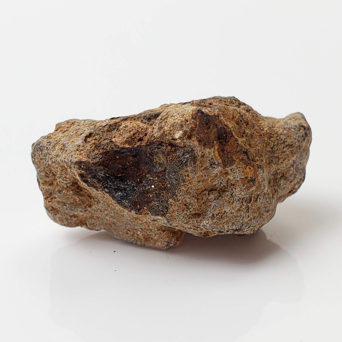  Sericho Meteorite | 16.4 Grams | As found Individual | MG Pallasite | Kenya Africa 5