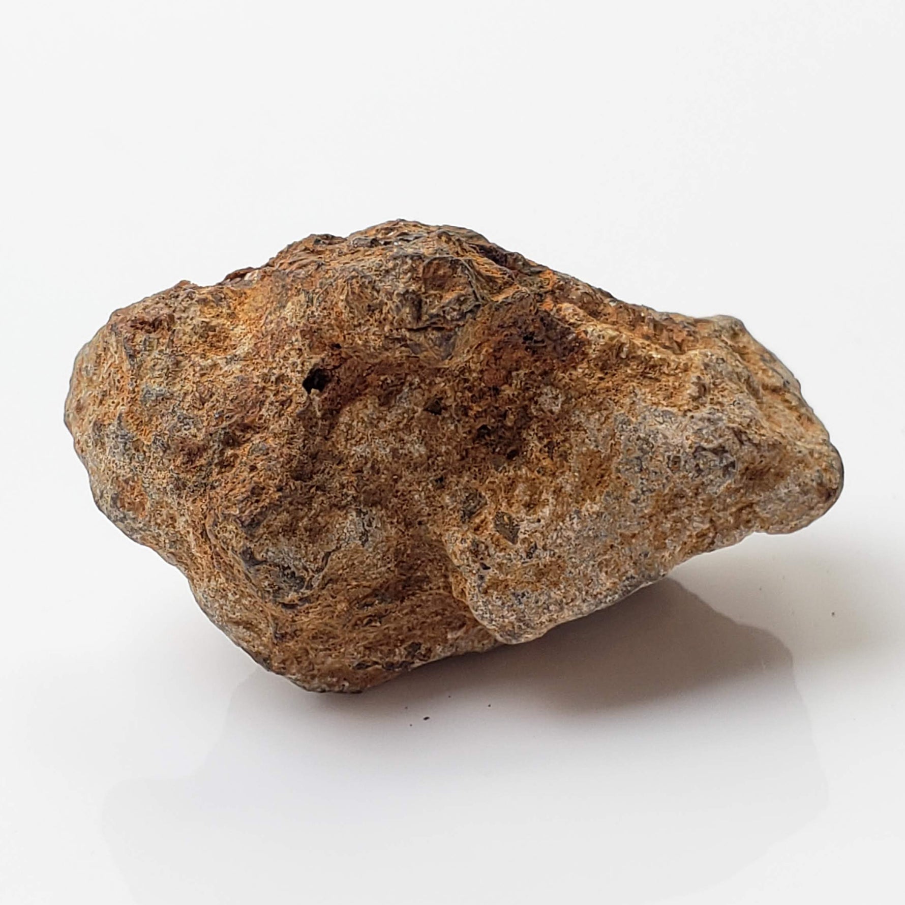  Sericho Meteorite | 16.4 Grams | As found Individual | MG Pallasite | Kenya Africa 2