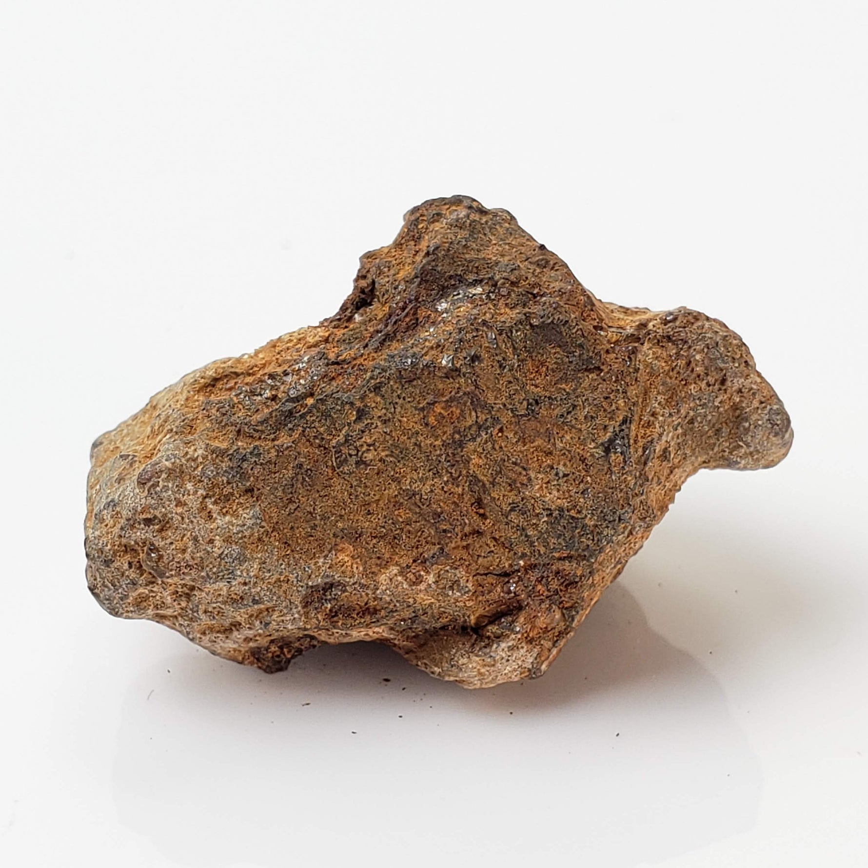 Sericho Meteorite | 16.4 Grams | As found Individual | MG Pallasite | Kenya Africa 6