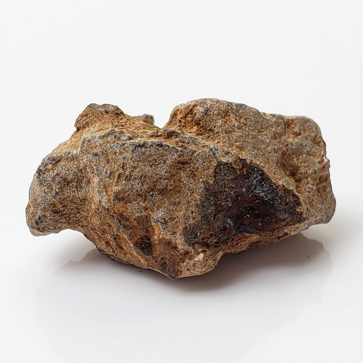  Sericho Meteorite | 16.4 Grams | As found Individual | MG Pallasite | Kenya Africa 1