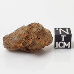  Sericho Meteorite | 16.4 Grams | As found Individual | MG Pallasite | Kenya Africa 