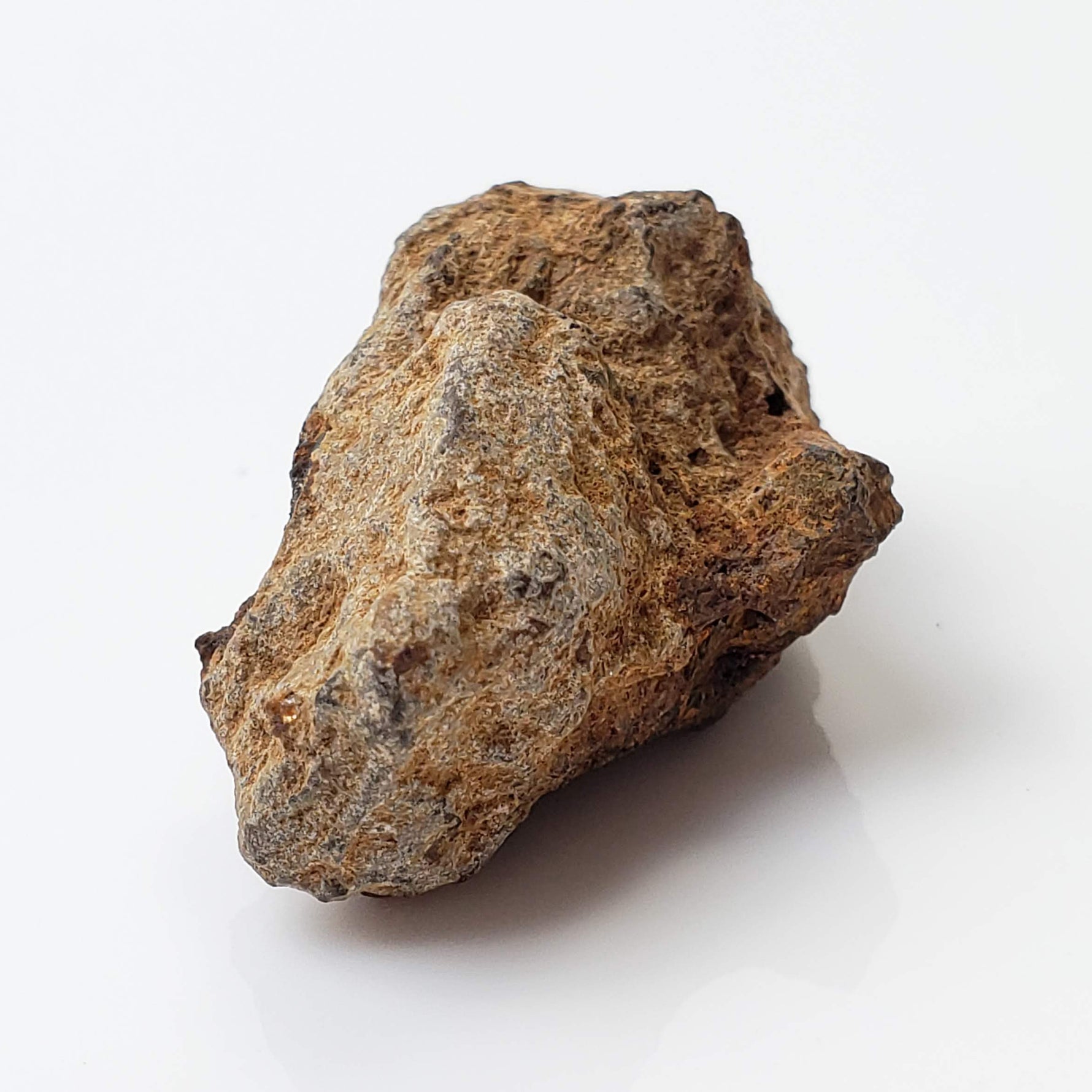 Sericho Meteorite | 16.4 Grams | As found Individual | MG Pallasite | Kenya Africa 4