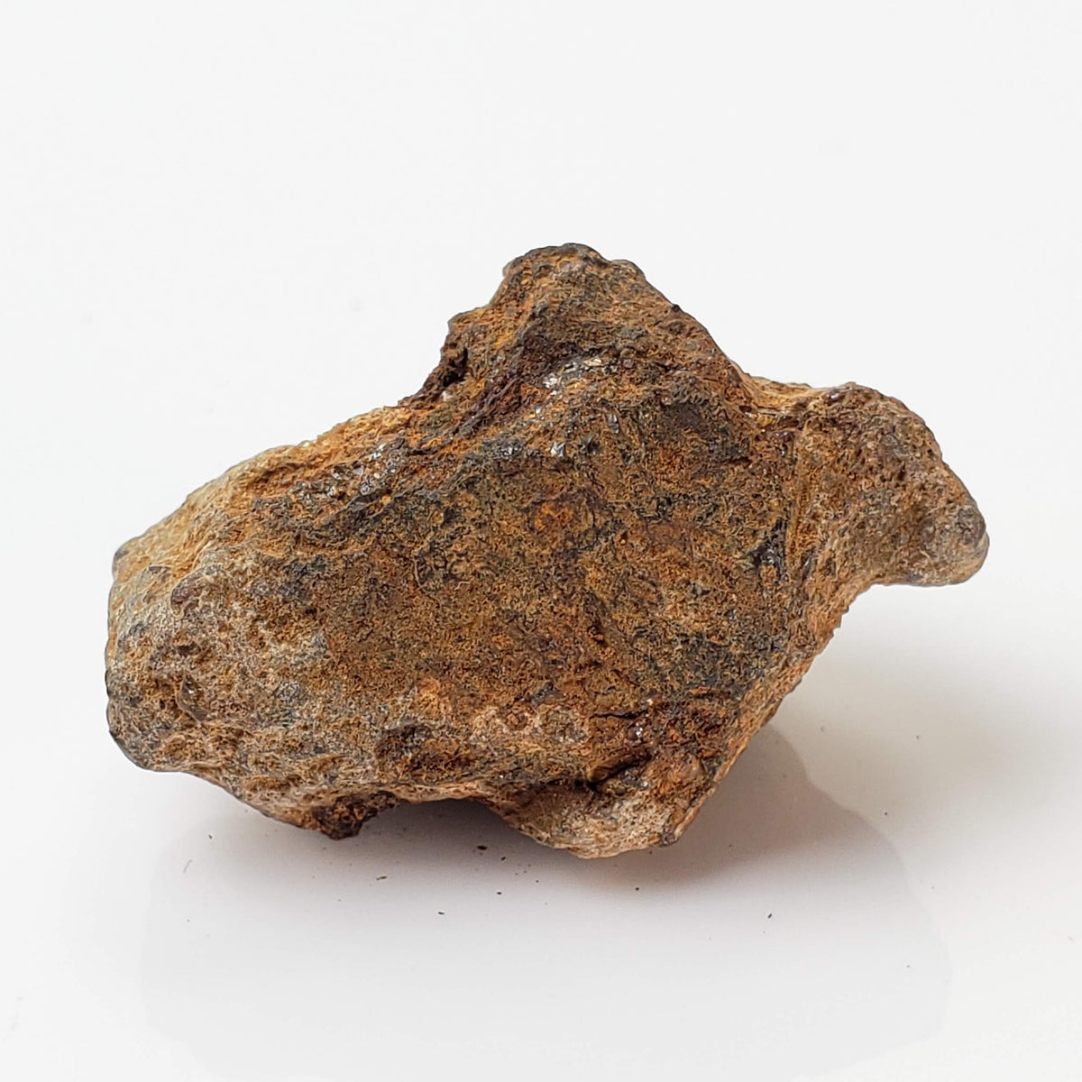  Sericho Meteorite | 16.4 Grams | As found Individual | MG Pallasite | Kenya Africa 6