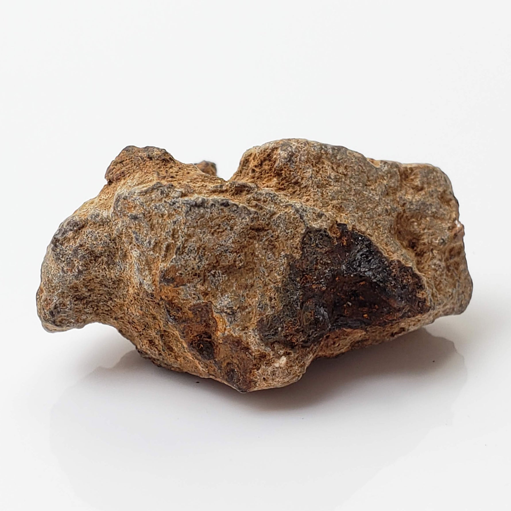  Sericho Meteorite | 16.4 Grams | As found Individual | MG Pallasite | Kenya Africa 1