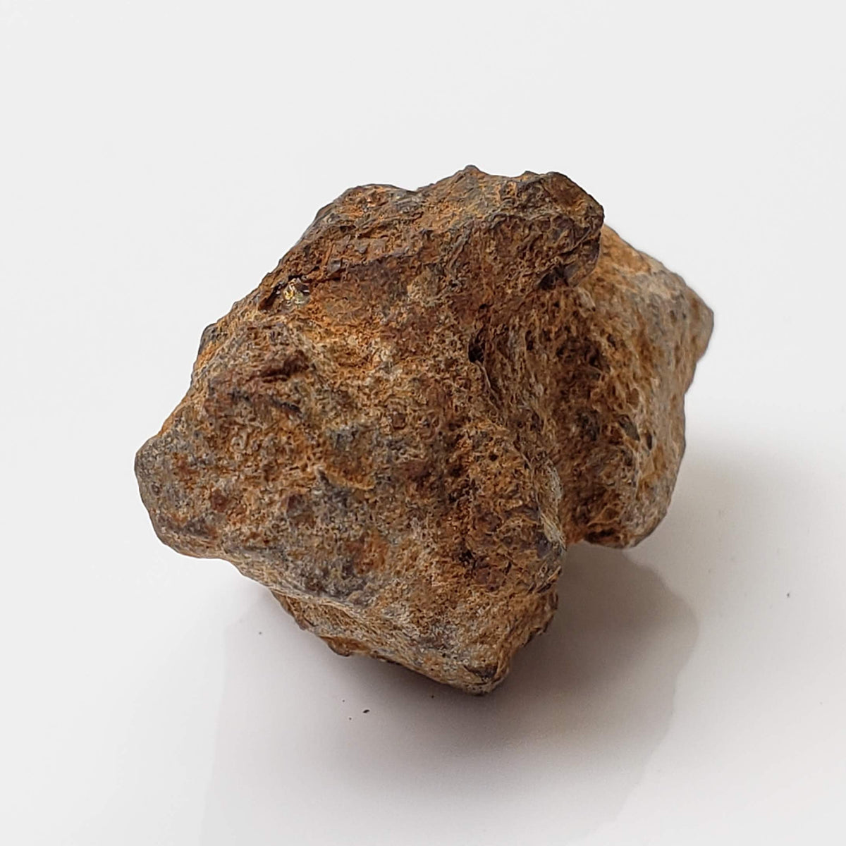  Sericho Meteorite | 16.4 Grams | As found Individual | MG Pallasite | Kenya Africa 3