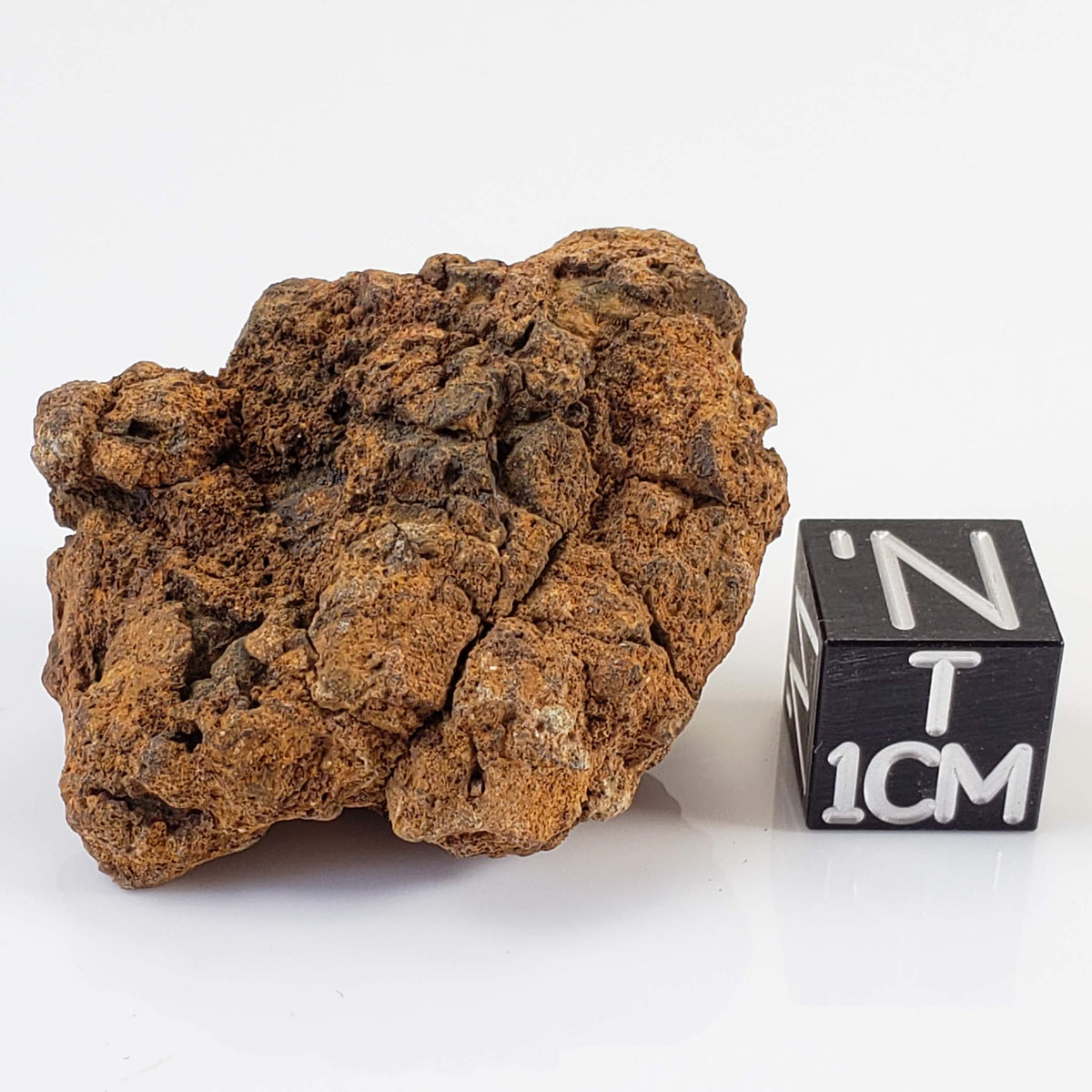 Sericho Meteorite | 20.6 Grams | As found Individual | MG Pallasite | Kenya 0
