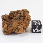Sericho Meteorite | 20.6 Grams | As found Individual | MG Pallasite | Kenya 0