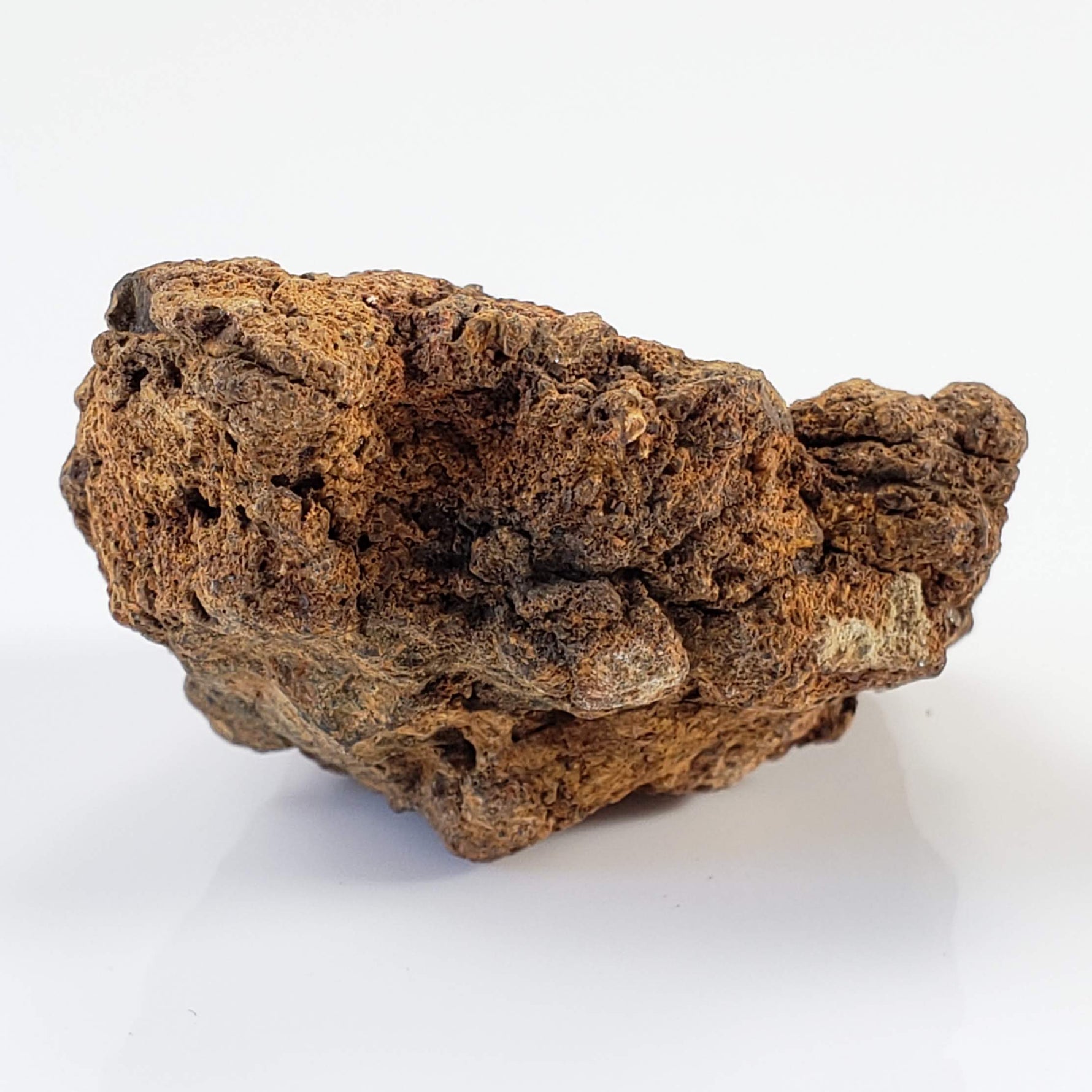 Sericho Meteorite | 20.6 Grams | As found Individual | MG Pallasite | Kenya 3